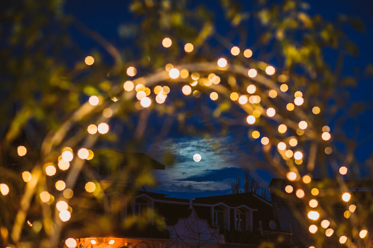 Гостиница Каштановый особняк Ялта-37