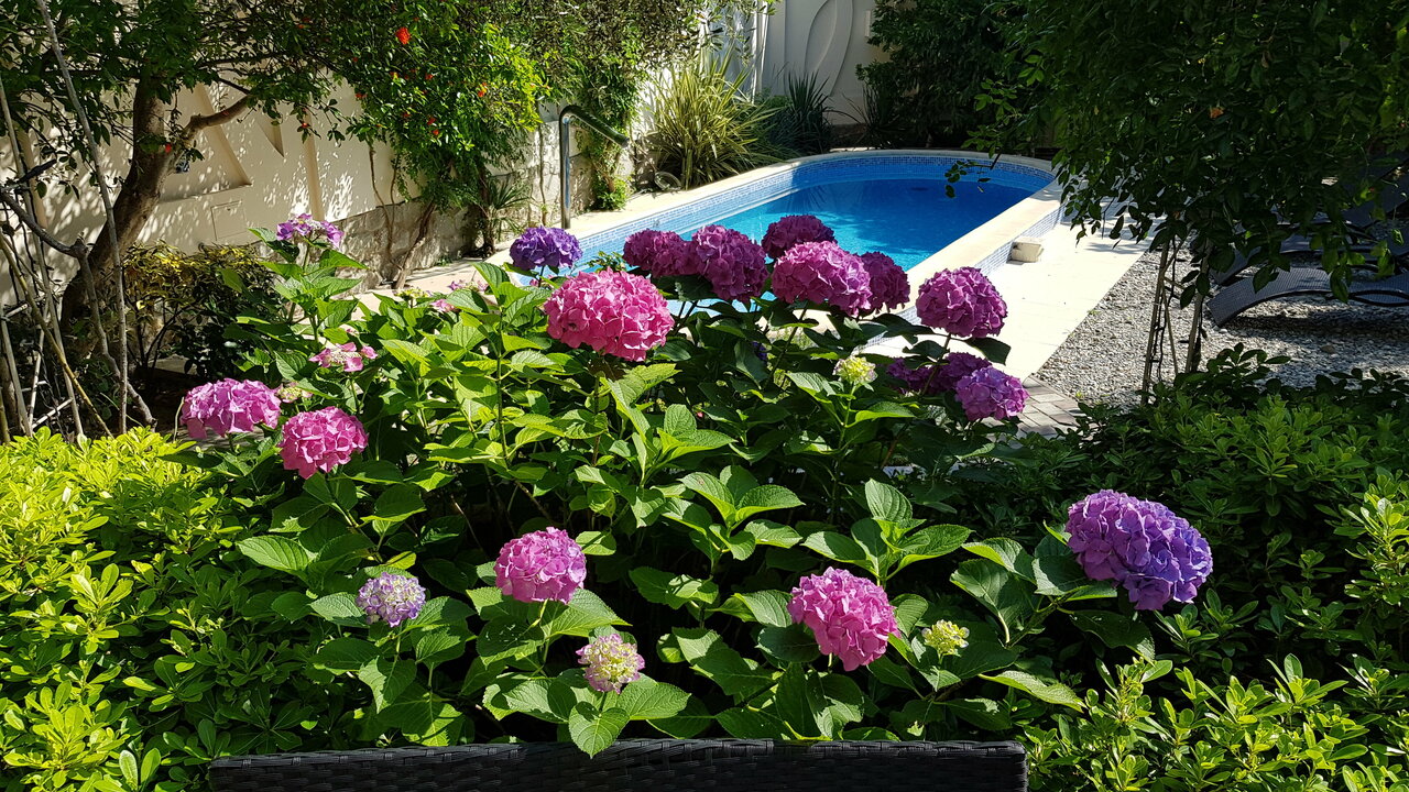 Гостиница Каштановый особняк Ялта-45