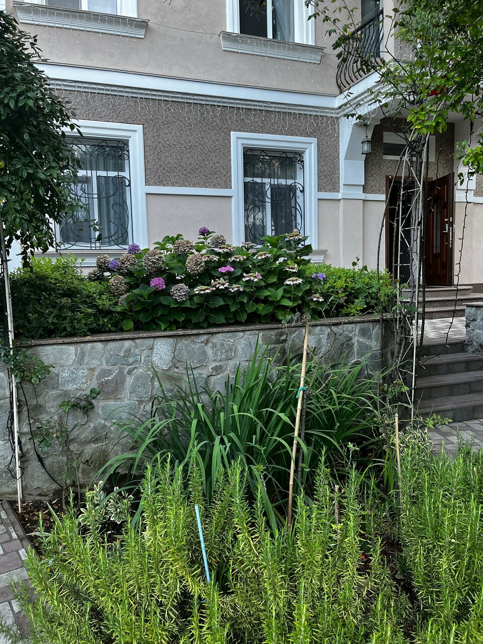 Гостиница Каштановый особняк Ялта-49