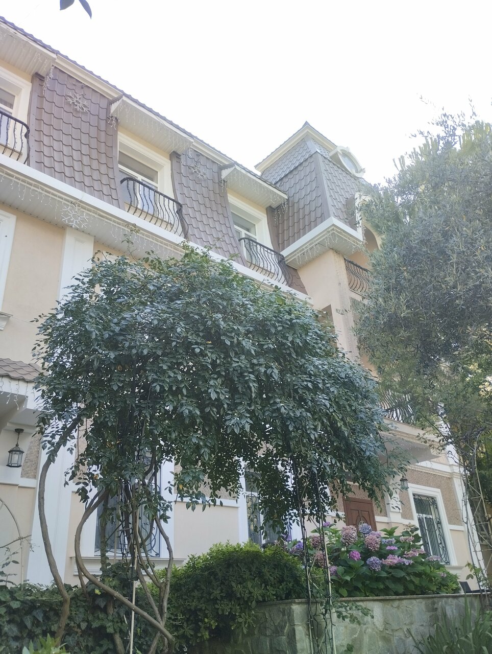 Гостиница Каштановый особняк Ялта-61