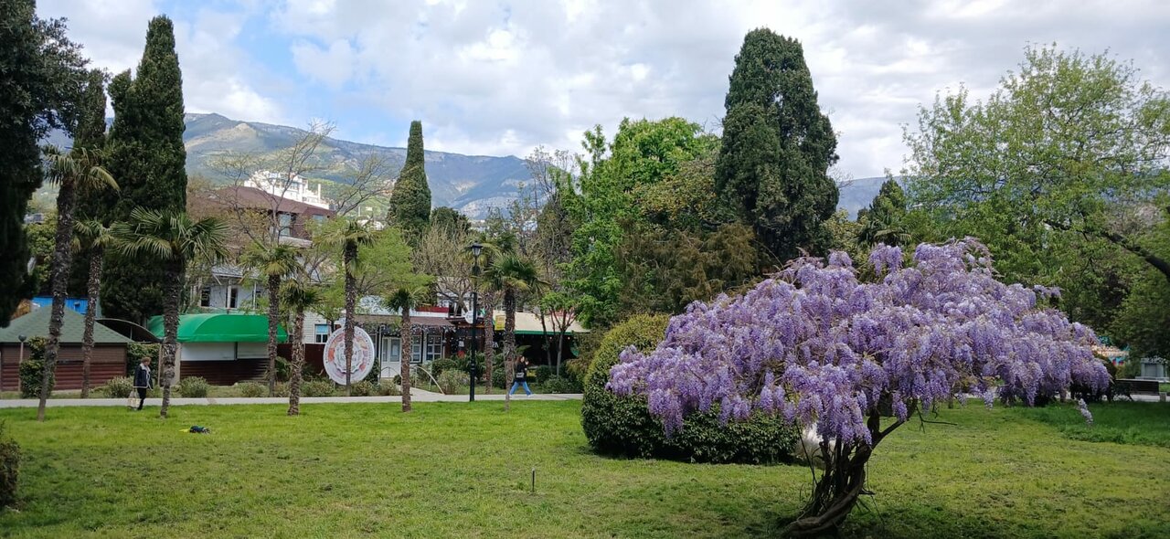 Гостиница Каштановый особняк Ялта-93