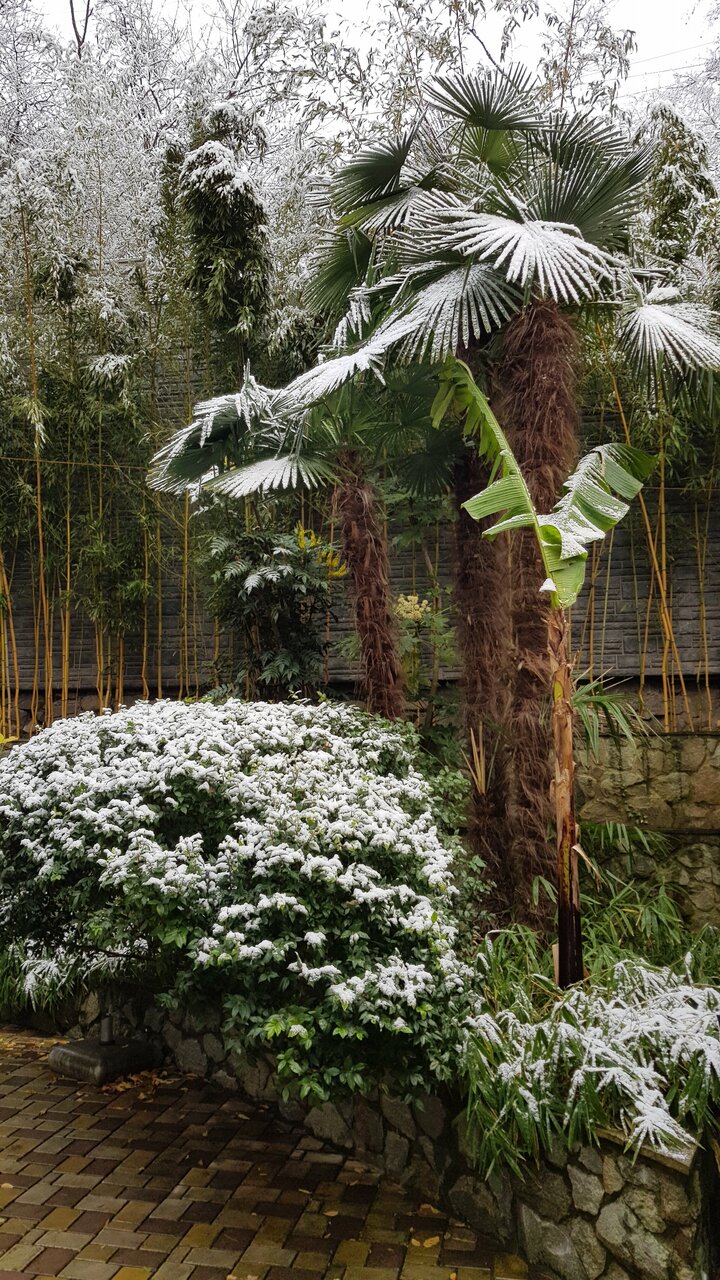 Гостиница Каштановый особняк Ялта-60