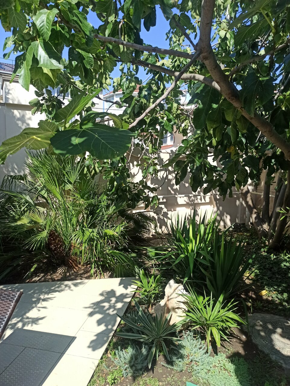 Гостиница Каштановый особняк Ялта-68