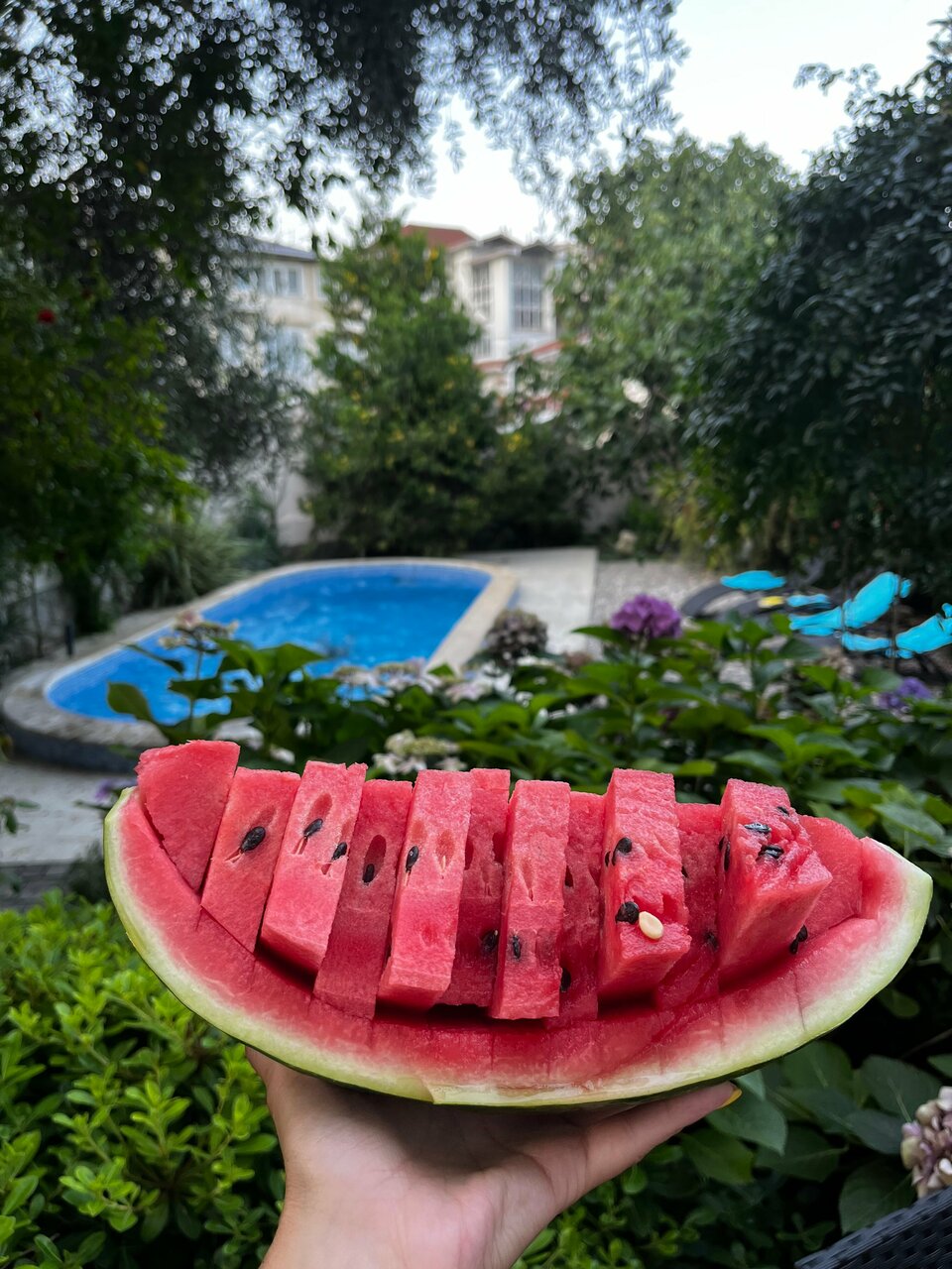 Гостиница Каштановый особняк Ялта-50