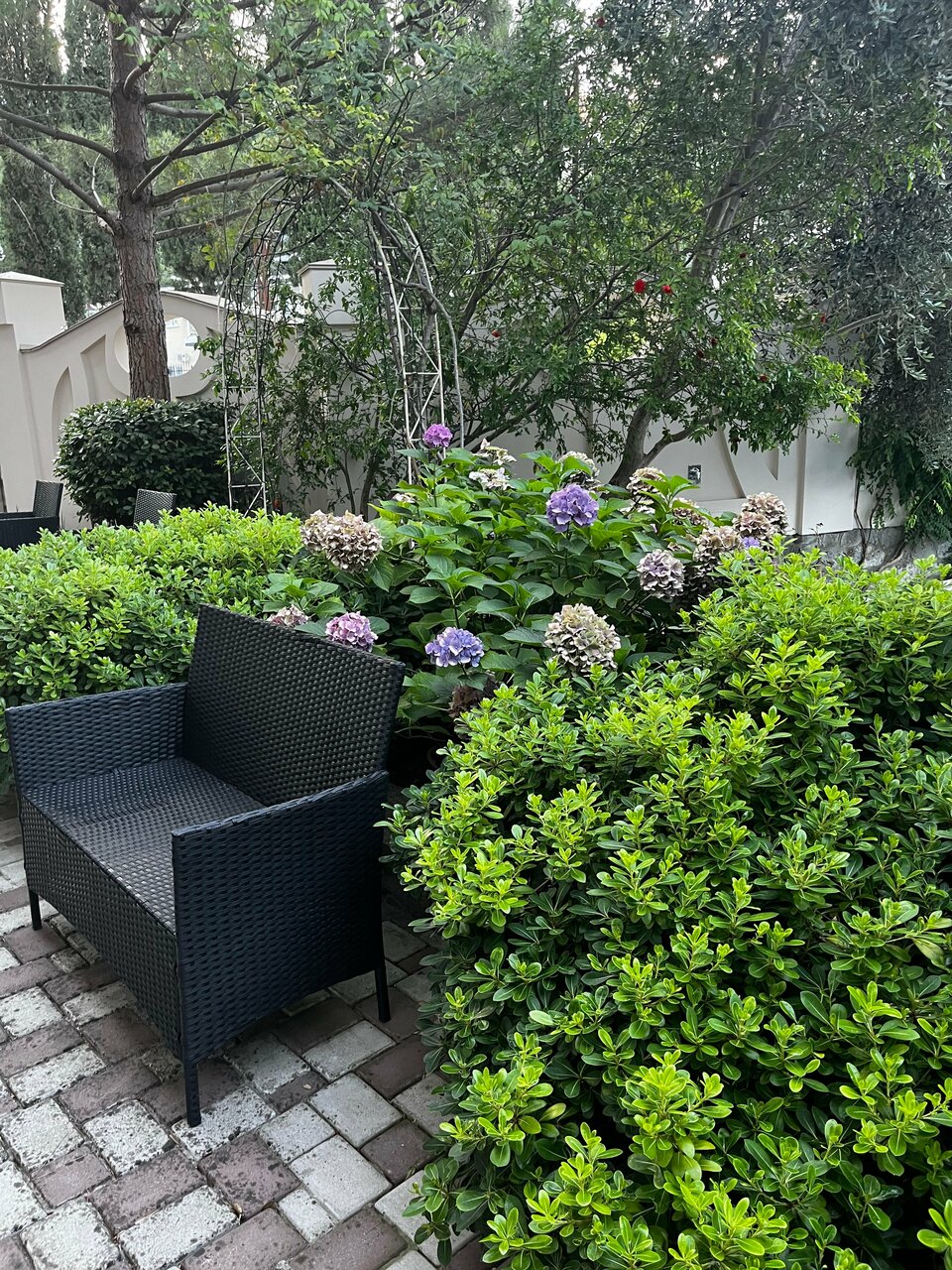 Гостиница Каштановый особняк Ялта-63