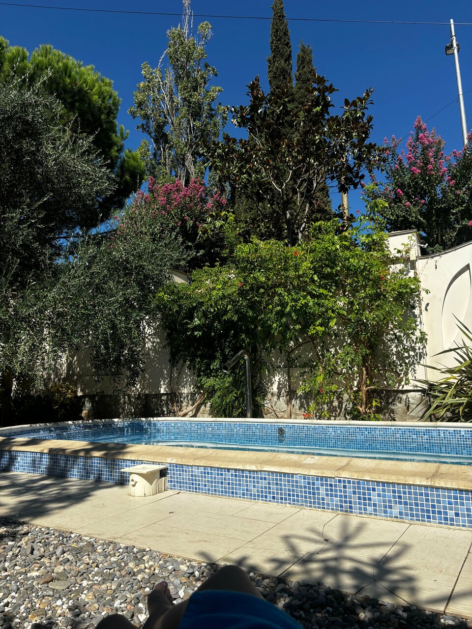 Гостиница Каштановый особняк Ялта-155