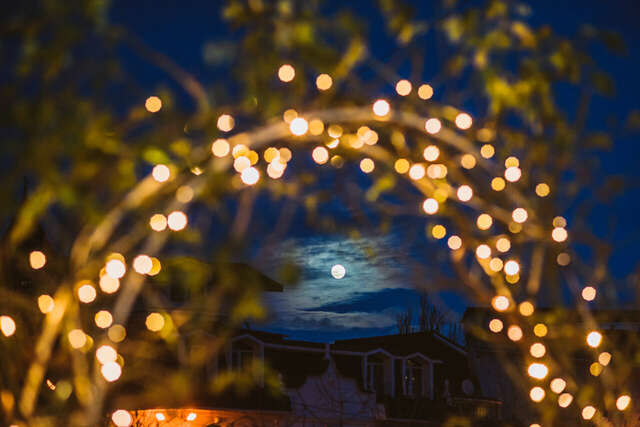 Гостиница Каштановый особняк Ялта-36