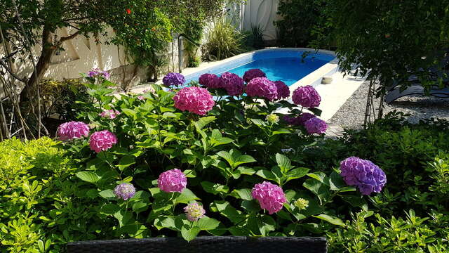 Гостиница Каштановый особняк Ялта-44