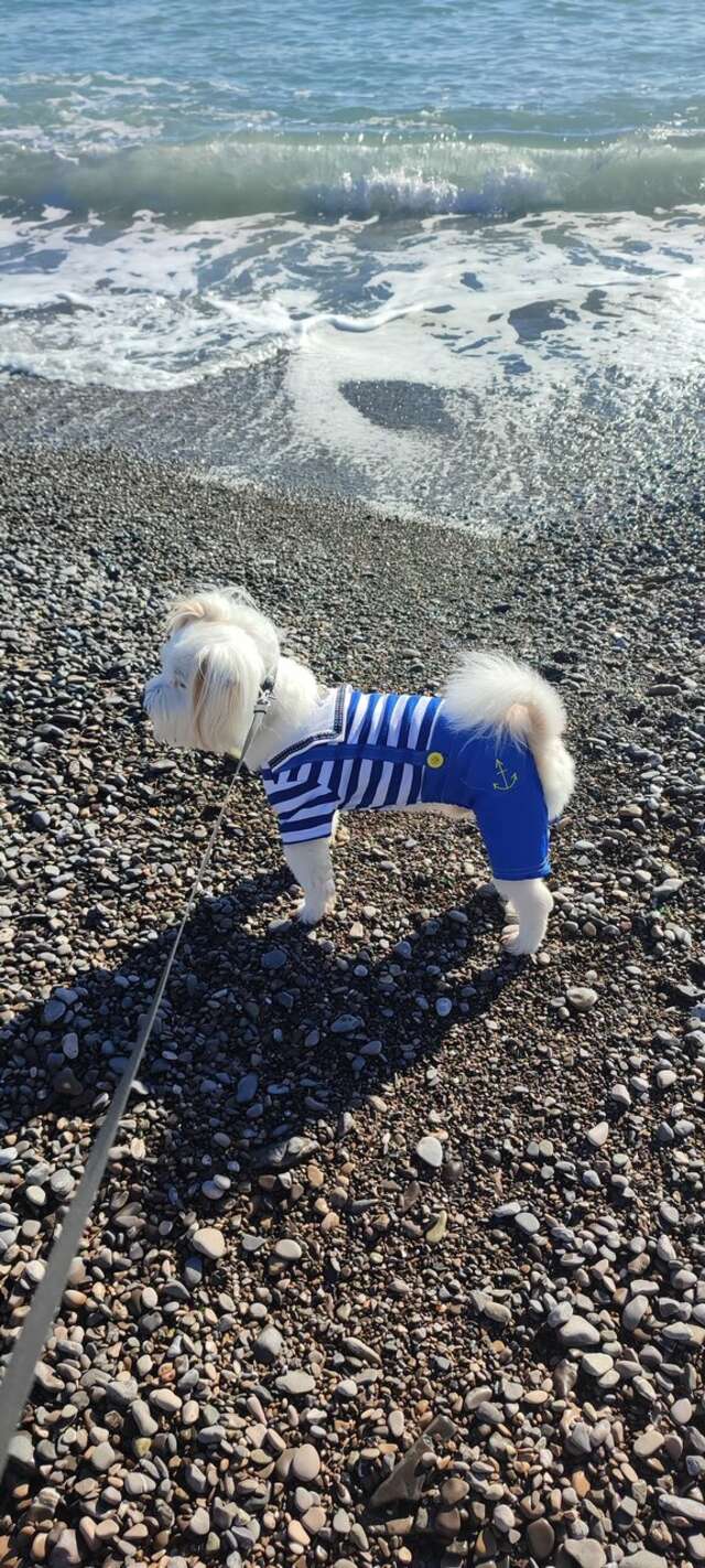 Гостиница Каштановый особняк Ялта-105