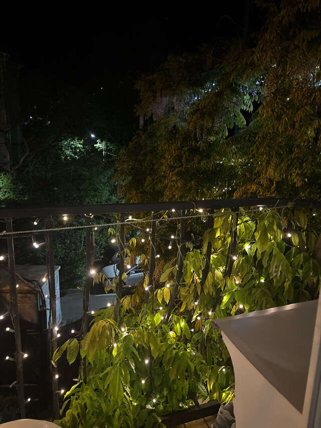 Гостиница Каштановый особняк Ялта-176