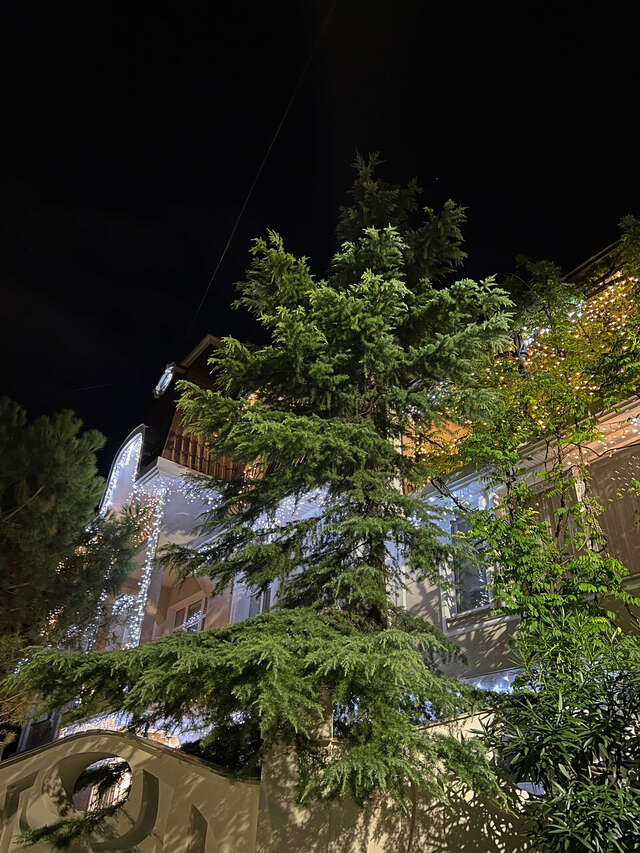 Гостиница Каштановый особняк Ялта-110