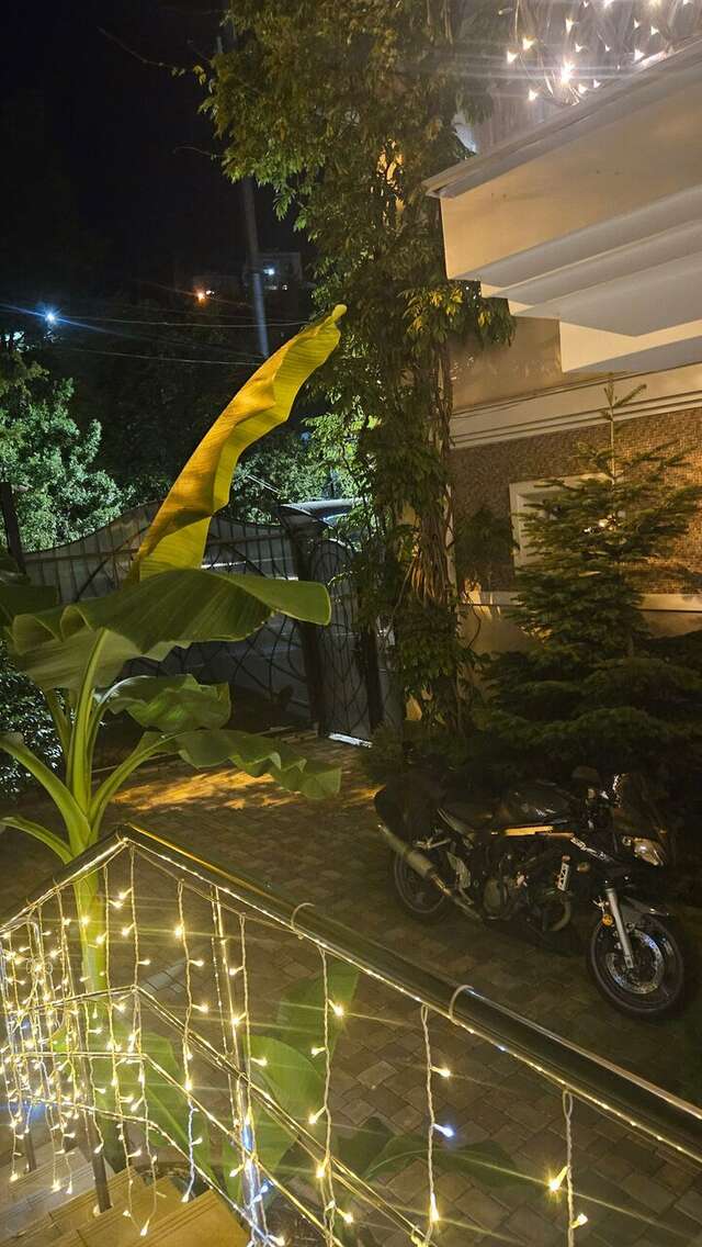 Гостиница Каштановый особняк Ялта-99