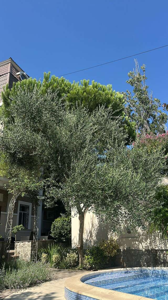 Гостиница Каштановый особняк Ялта-142