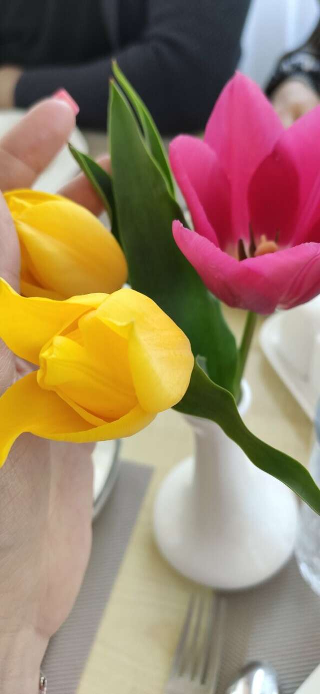 Гостиница Каштановый особняк Ялта-118