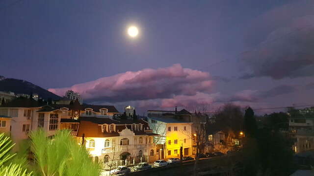 Гостиница Каштановый особняк Ялта-42