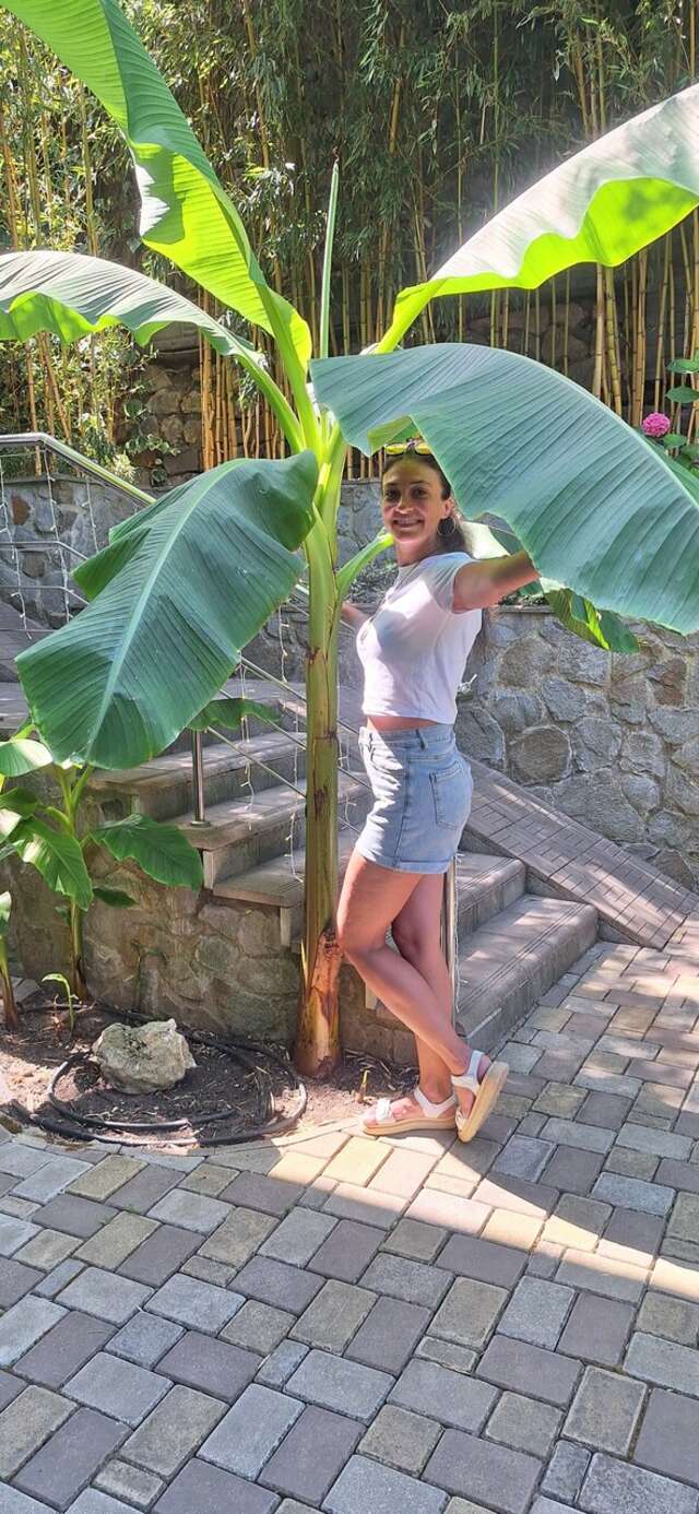 Гостиница Каштановый особняк Ялта-156