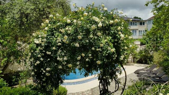 Гостиница Каштановый особняк Ялта-39