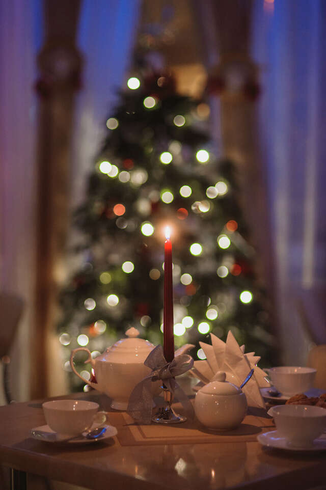 Гостиница Каштановый особняк Ялта-37