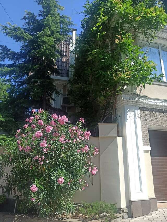 Гостиница Каштановый особняк Ялта-65